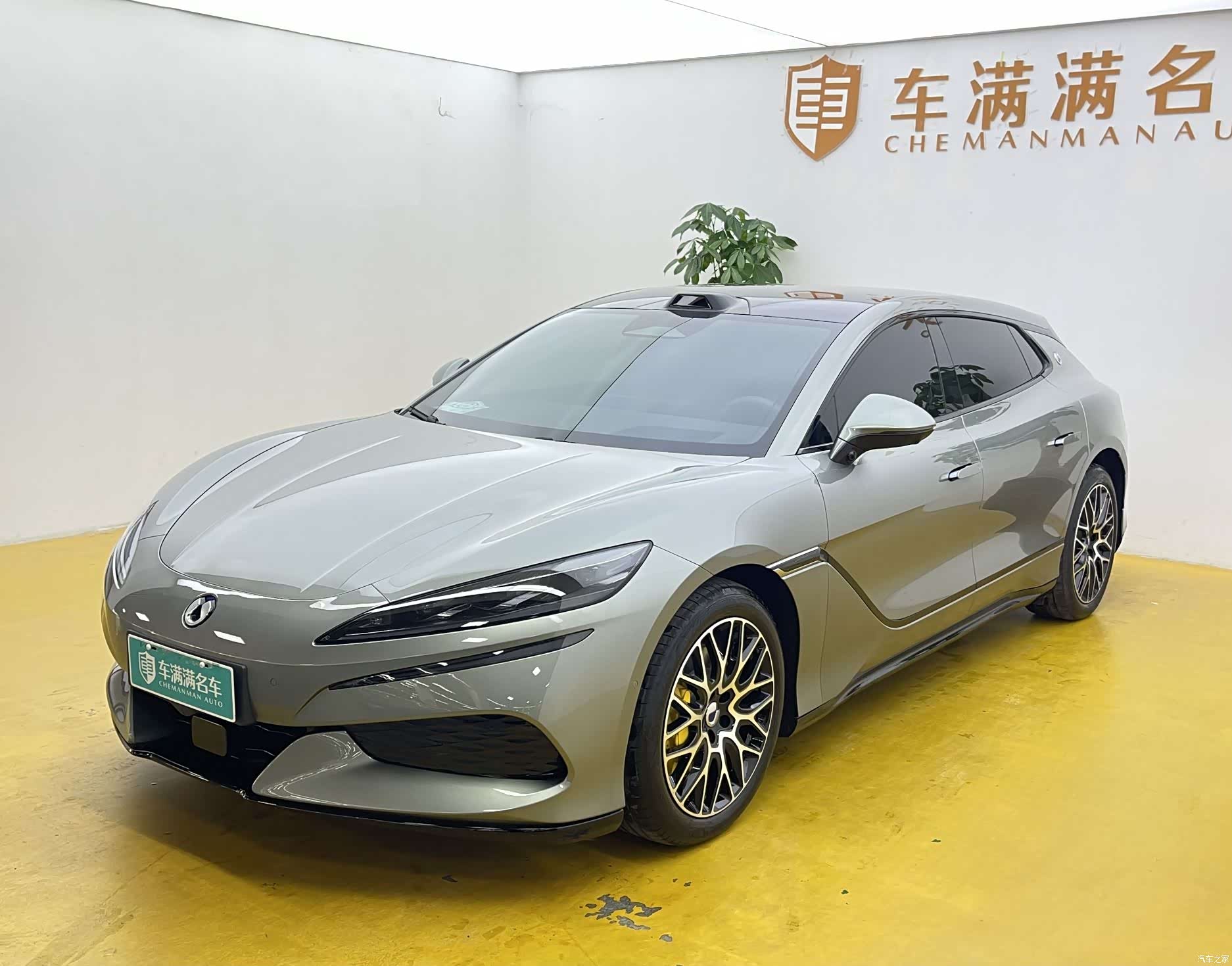 Denza Z9GT