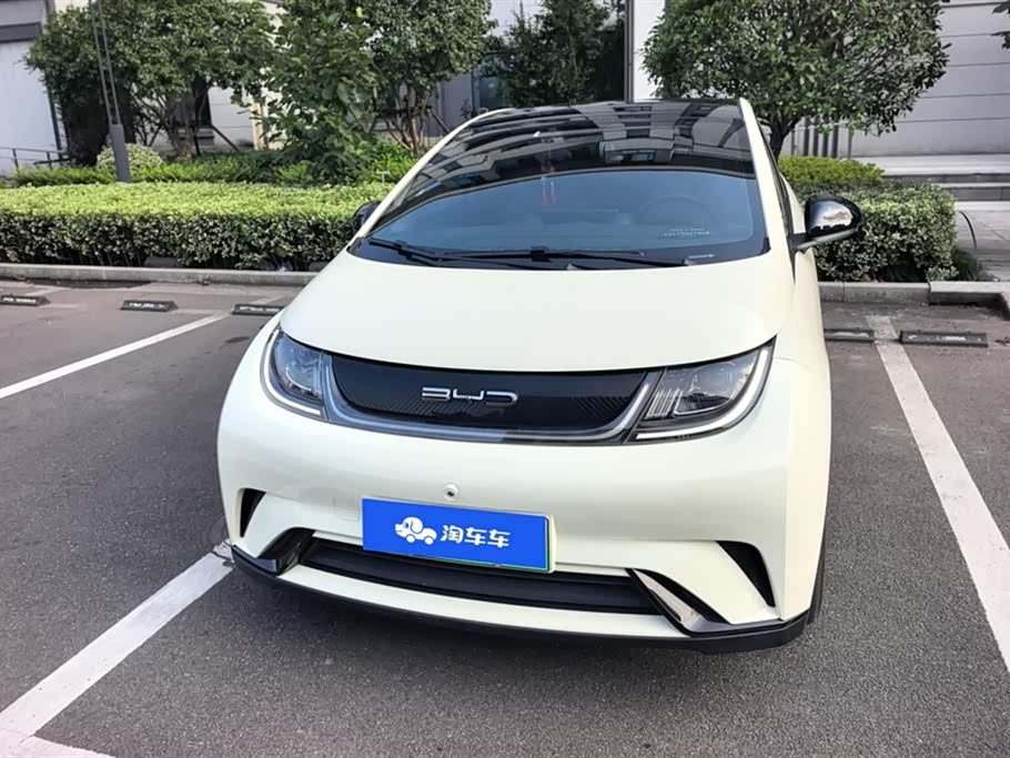 BYD dolphin