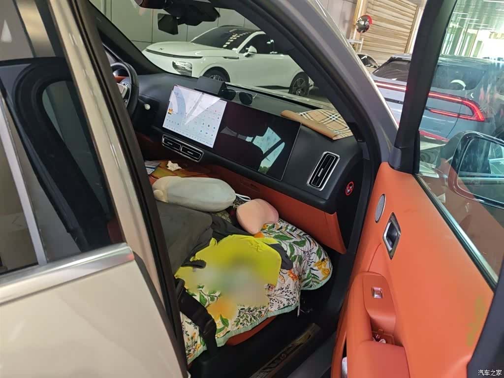Li Auto L9, 2023 20