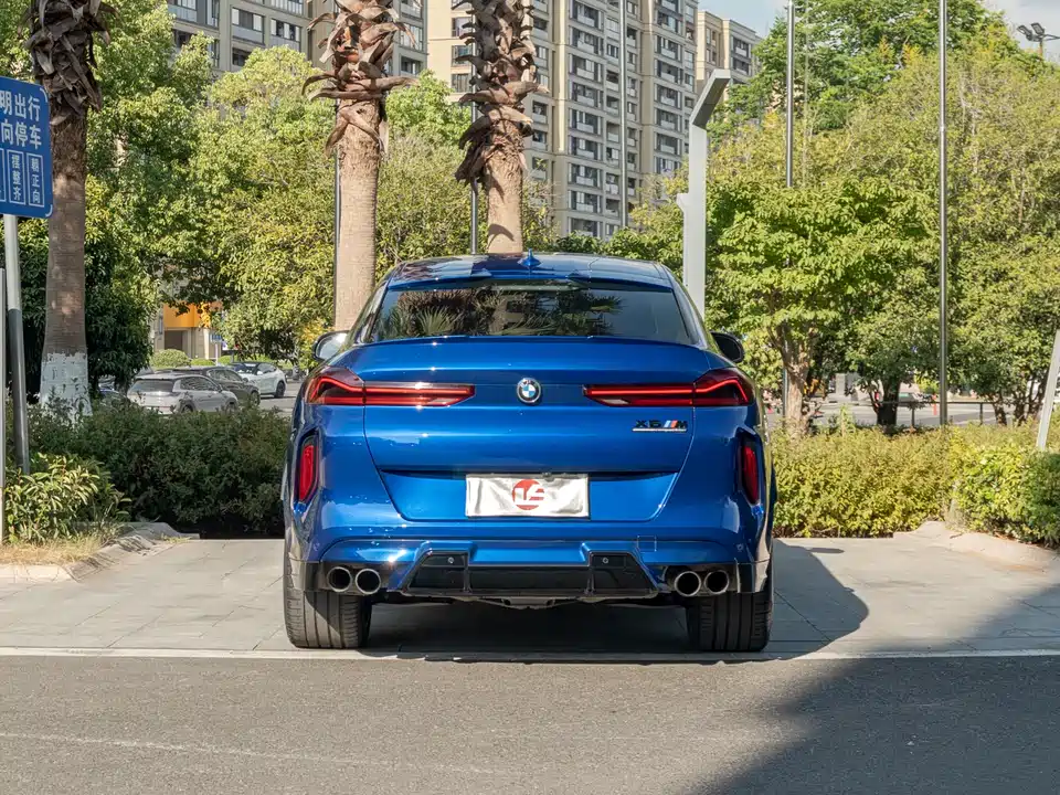 BMW X6 M