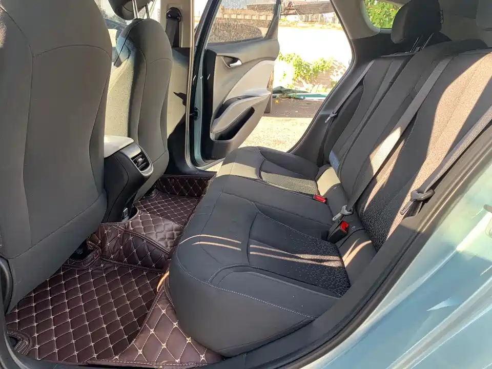 Buick Slightly blue 6