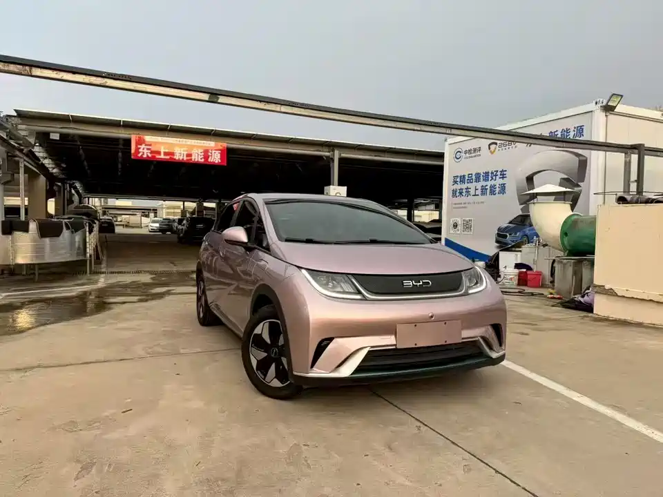 BYD dolphin