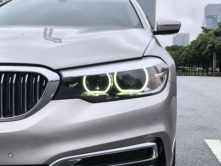 BMW 5 Series 2019, фото 9