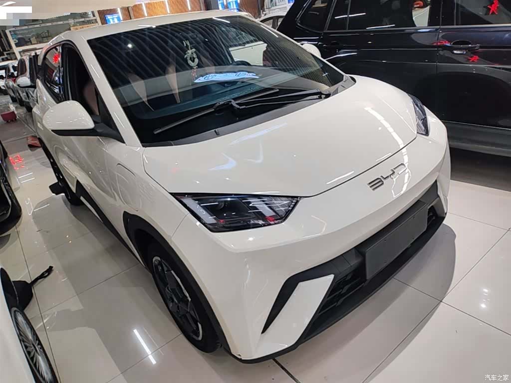 BYD Seagull, 2023 22