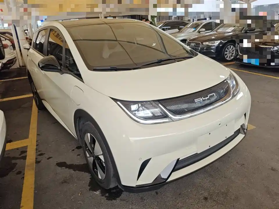 BYD dolphin
