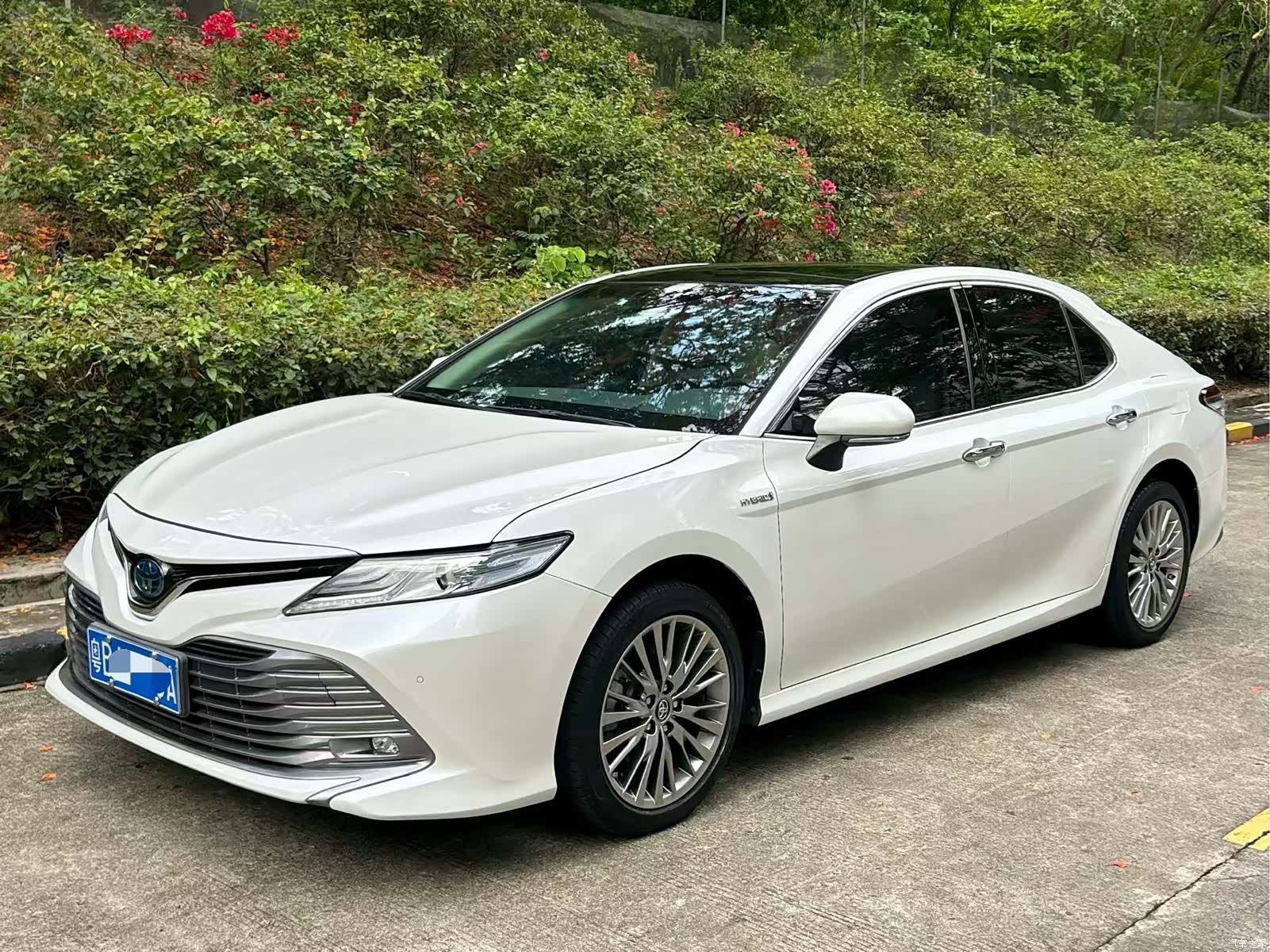 Toyota Camry, 2019 1