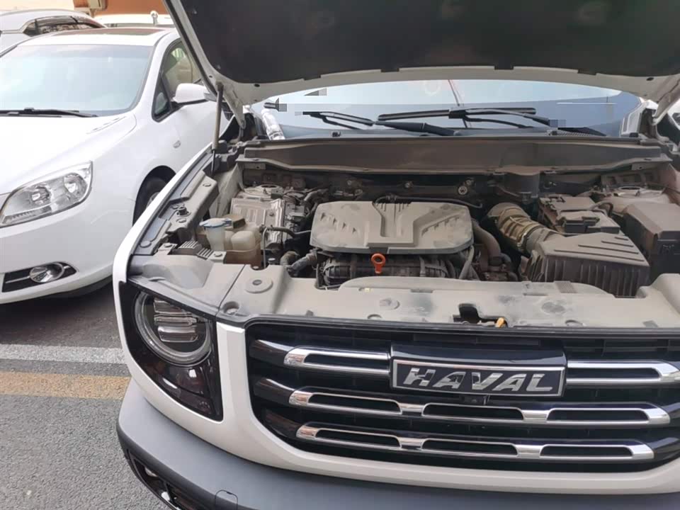 Haval Big dog Haval Big dog