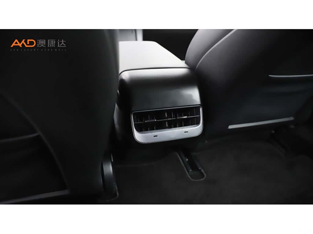 Tesla Model 3, 2021 9