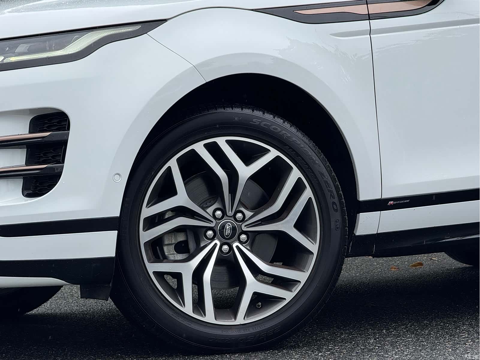 Land Rover Range Rover, 2020 все фото