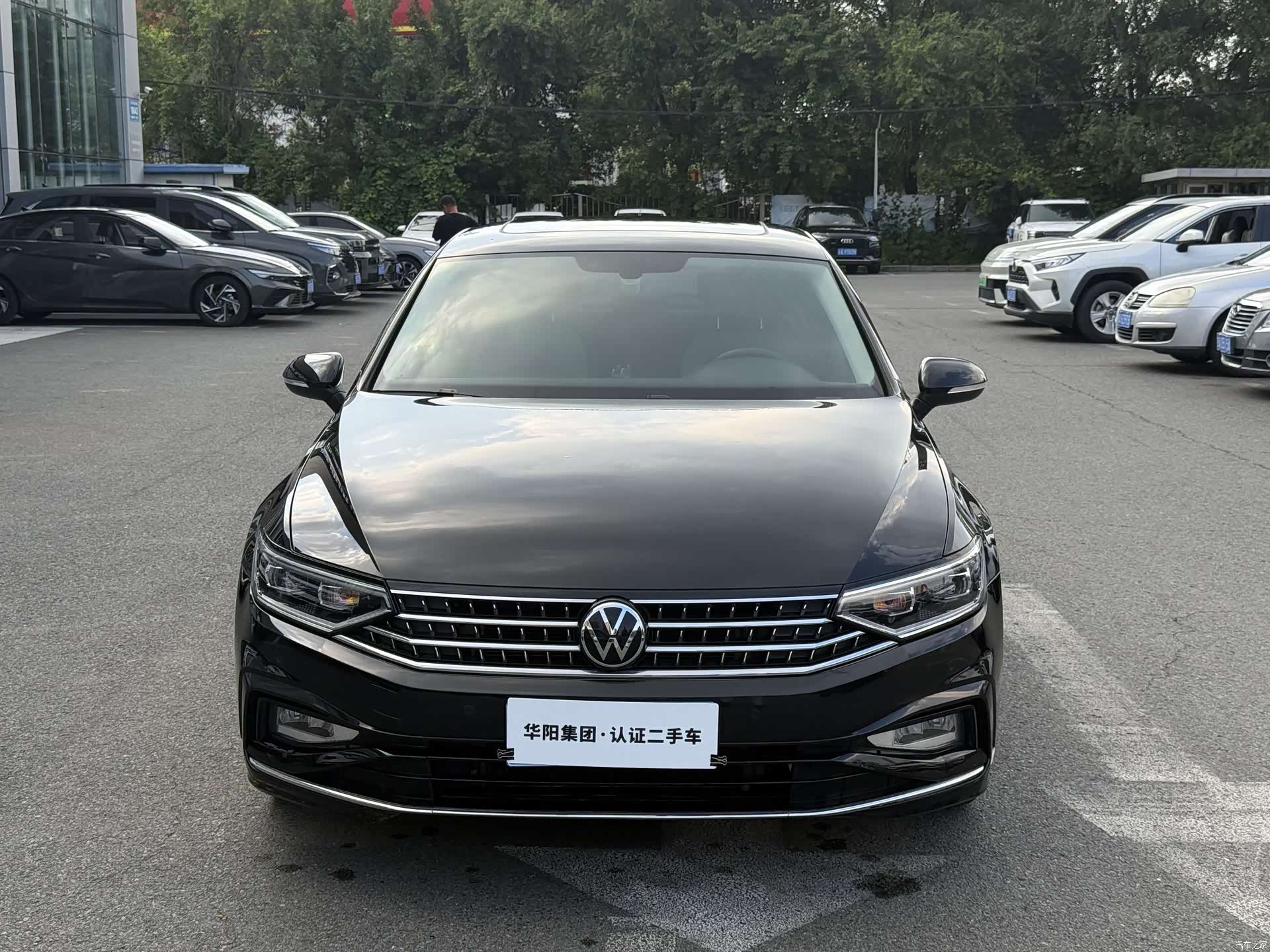 Volkswagen Magotan, 2024 2