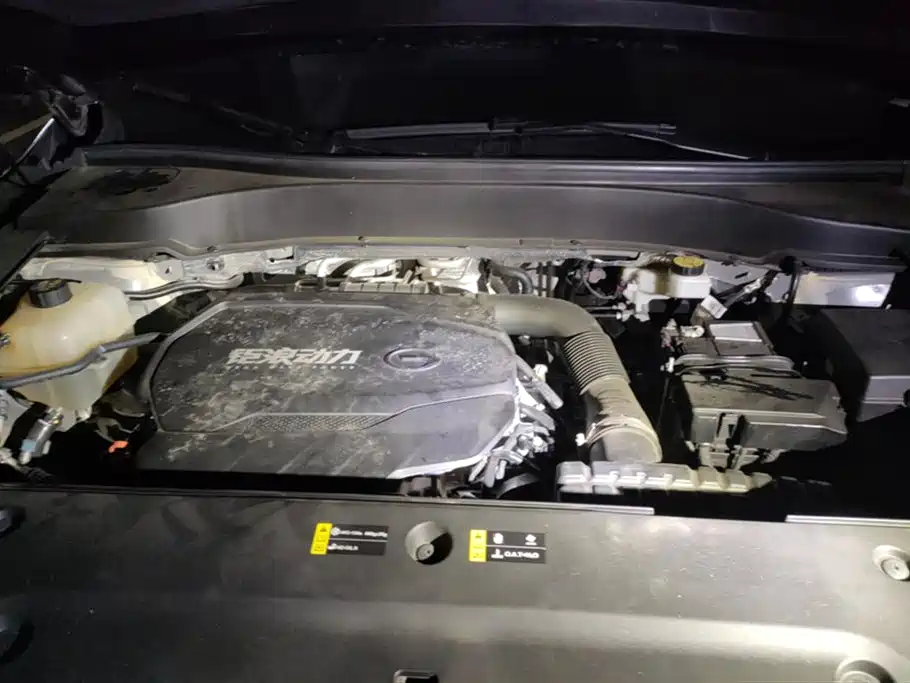 Trumpchi Trumpchi GS8