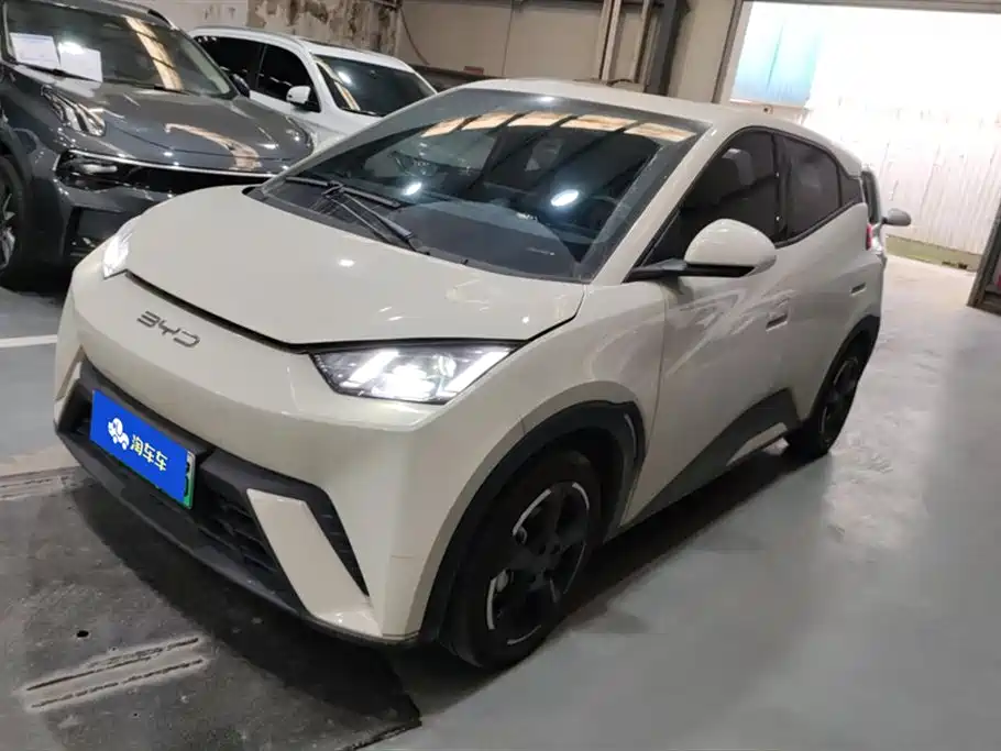 BYD Seagull