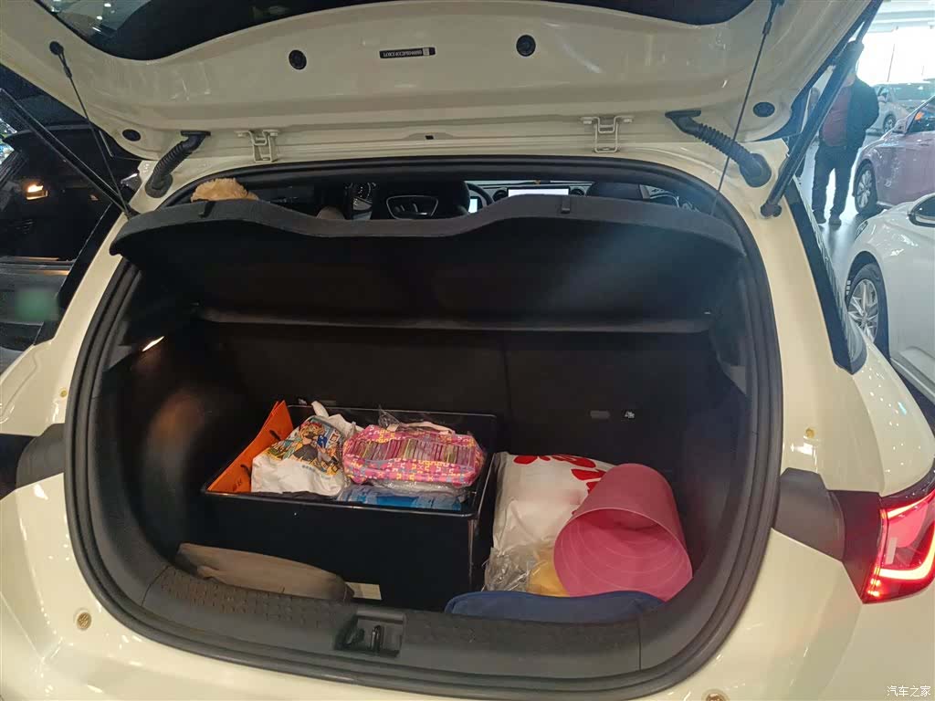 BYD Dolphin, 2023 15