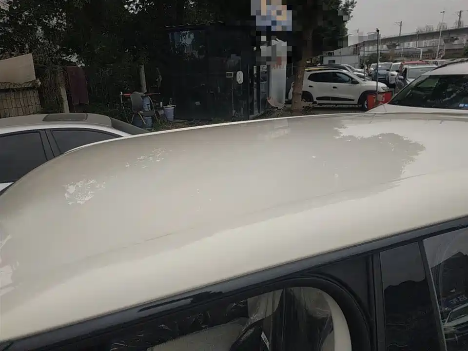 Dongfeng Nammi Nano 01