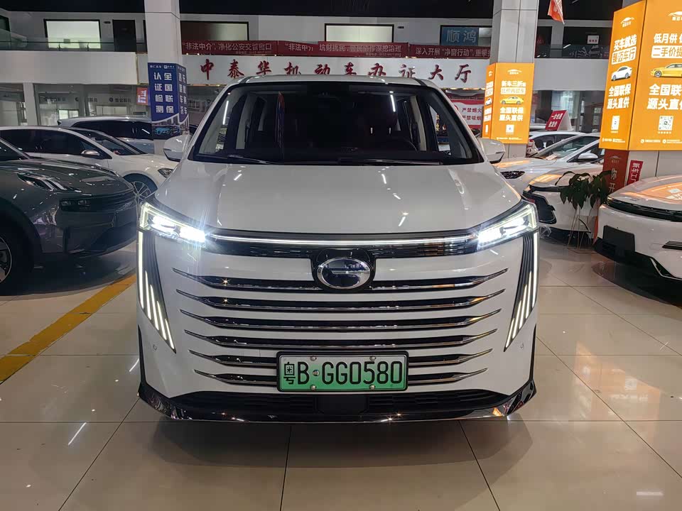 Trumpchi Trumpchi E9