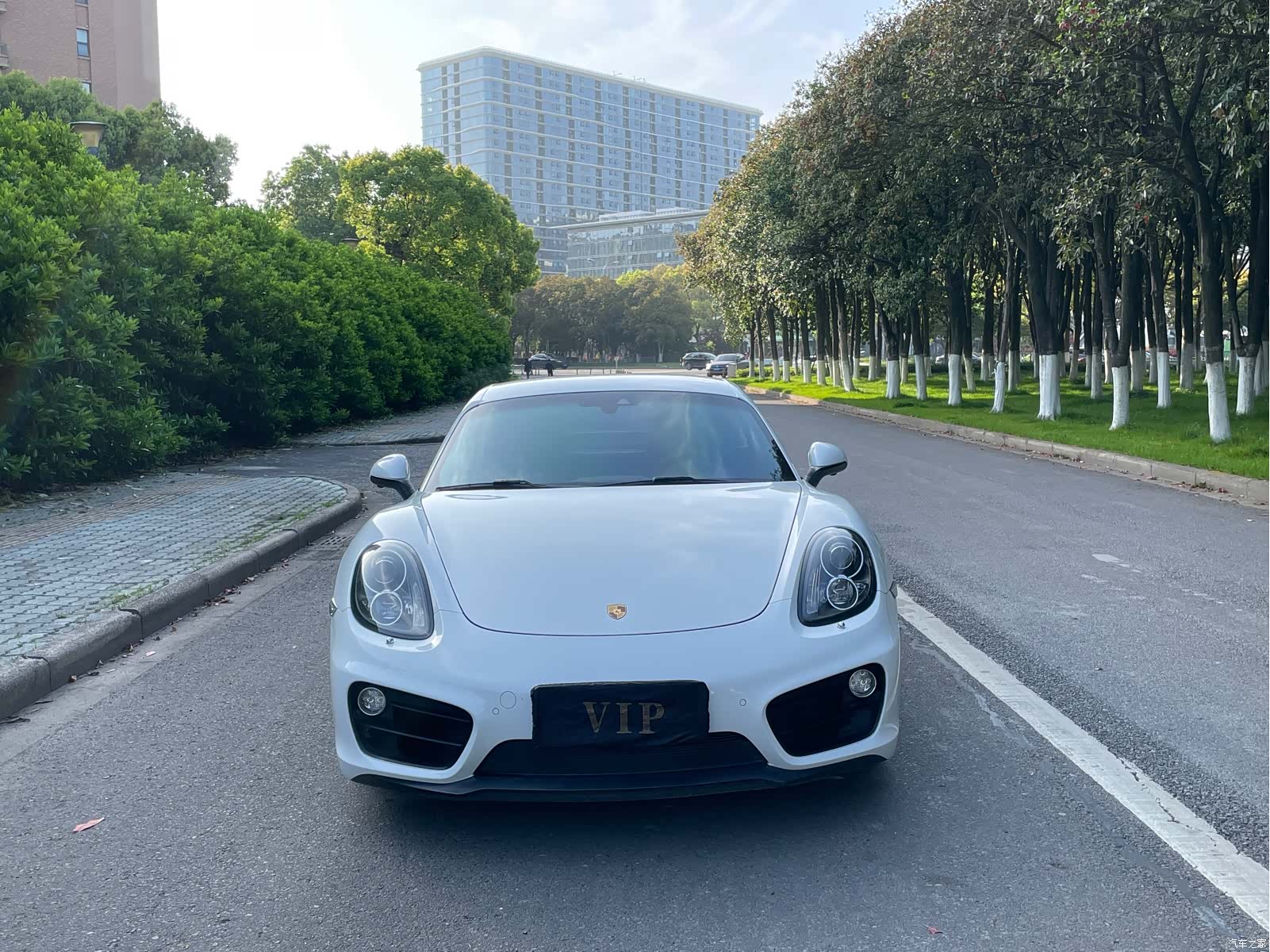 Porsche Cayman, 2015 3