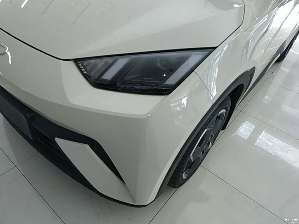 BYD Seagull, 2024 24
