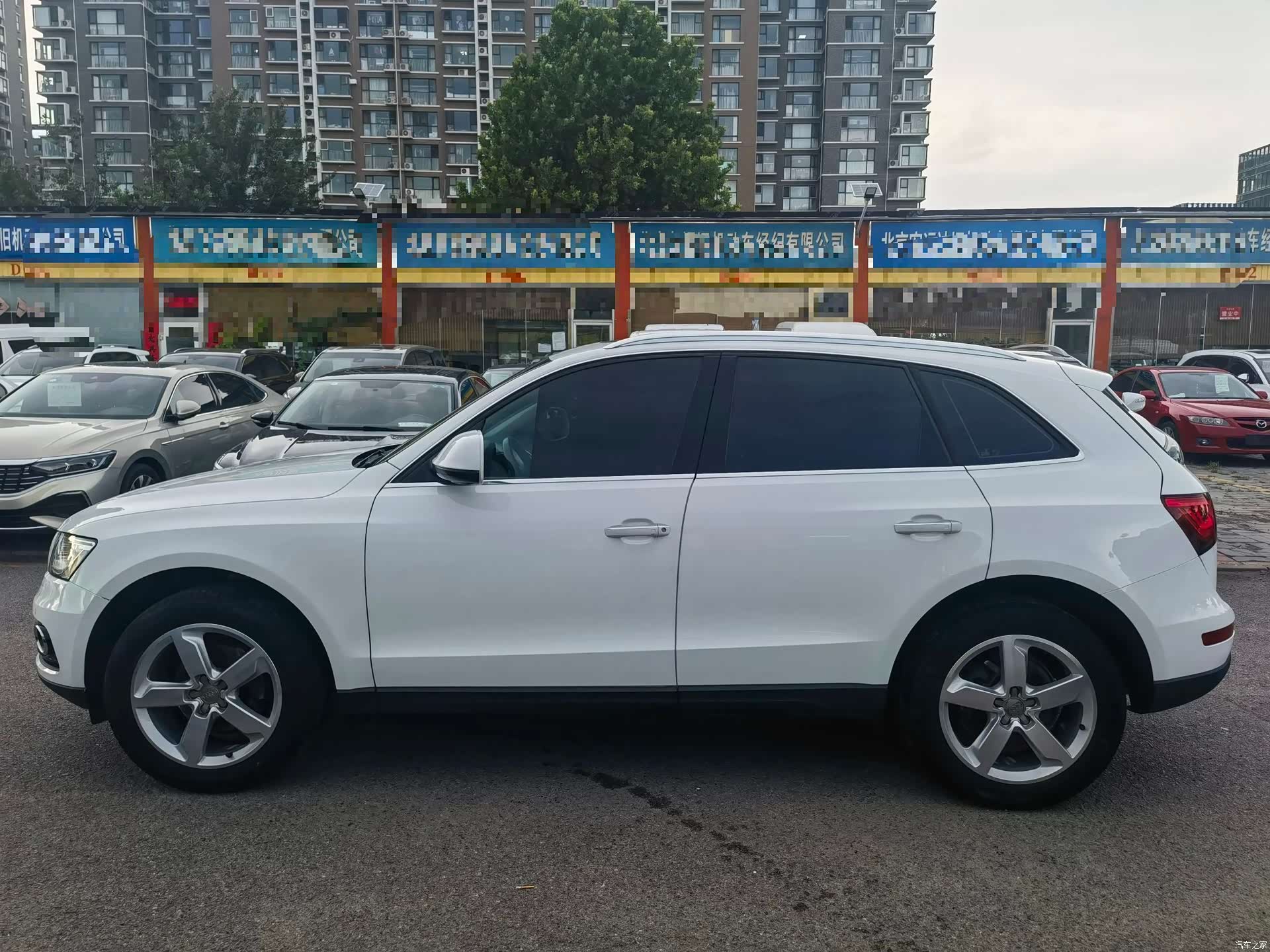 Audi Q5, 2017 2