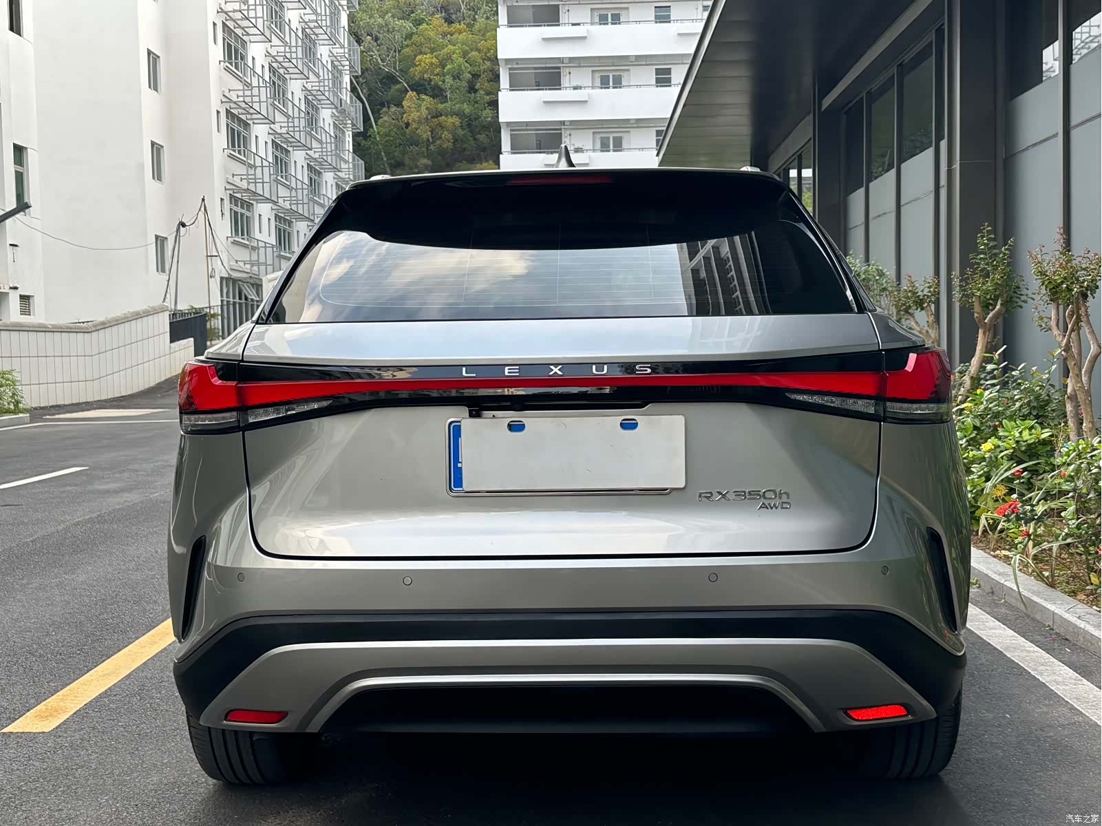 Lexus RX, 2023 7