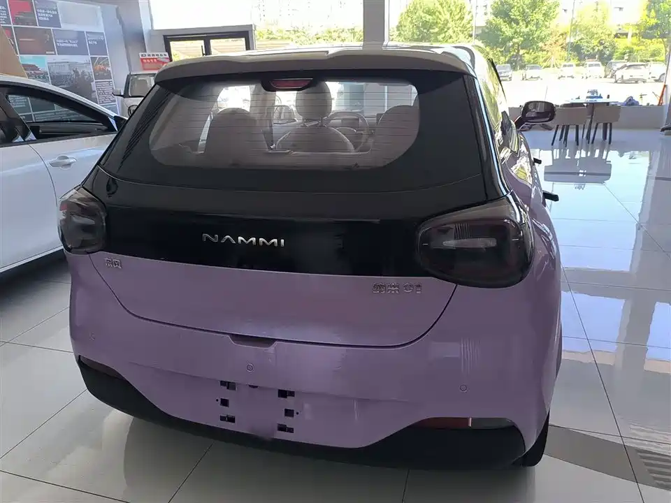 Dongfeng Nammi Nano 01