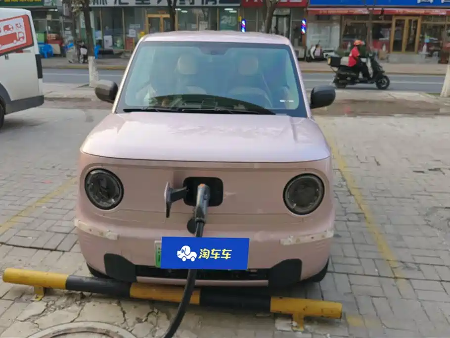 Geely Galaxy panda