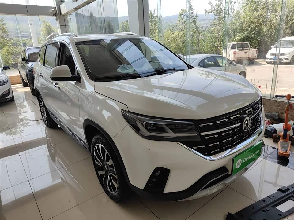 Forthing Popular T5 Forthing Popular T5