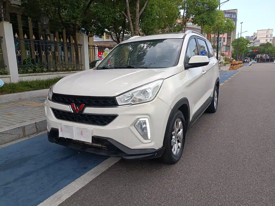 Wuling Wuling Hongguang S3