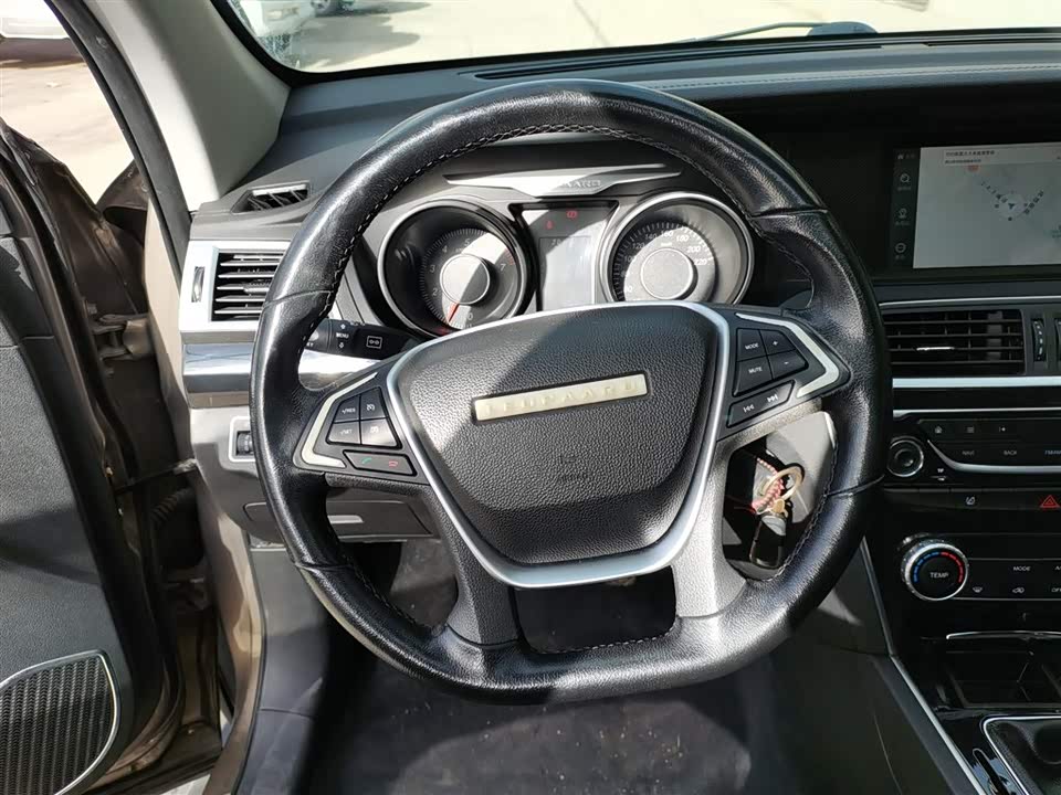 Leopaard Cheetah CS10