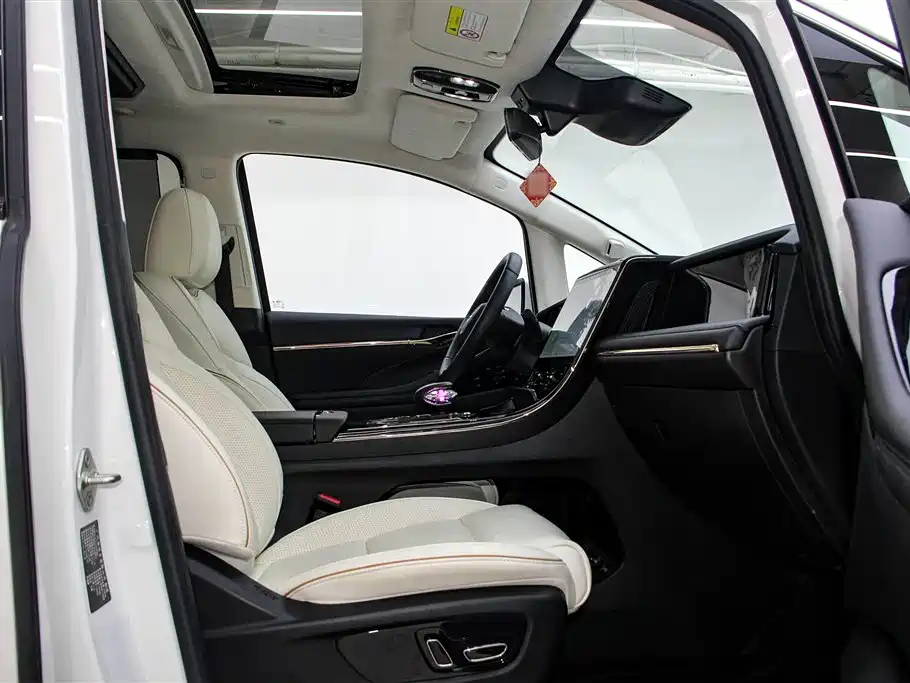 Trumpchi Trumpchi E9