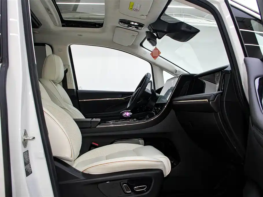 Trumpchi Trumpchi E9