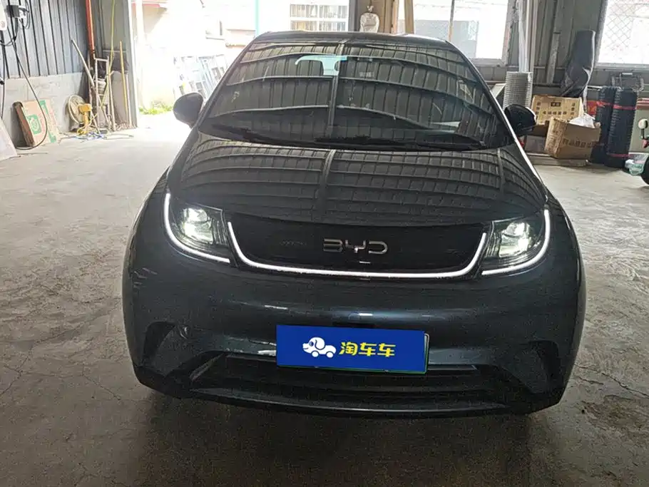 BYD dolphin