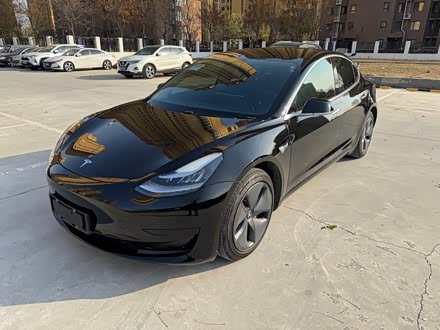 Model 3 2020 ׼