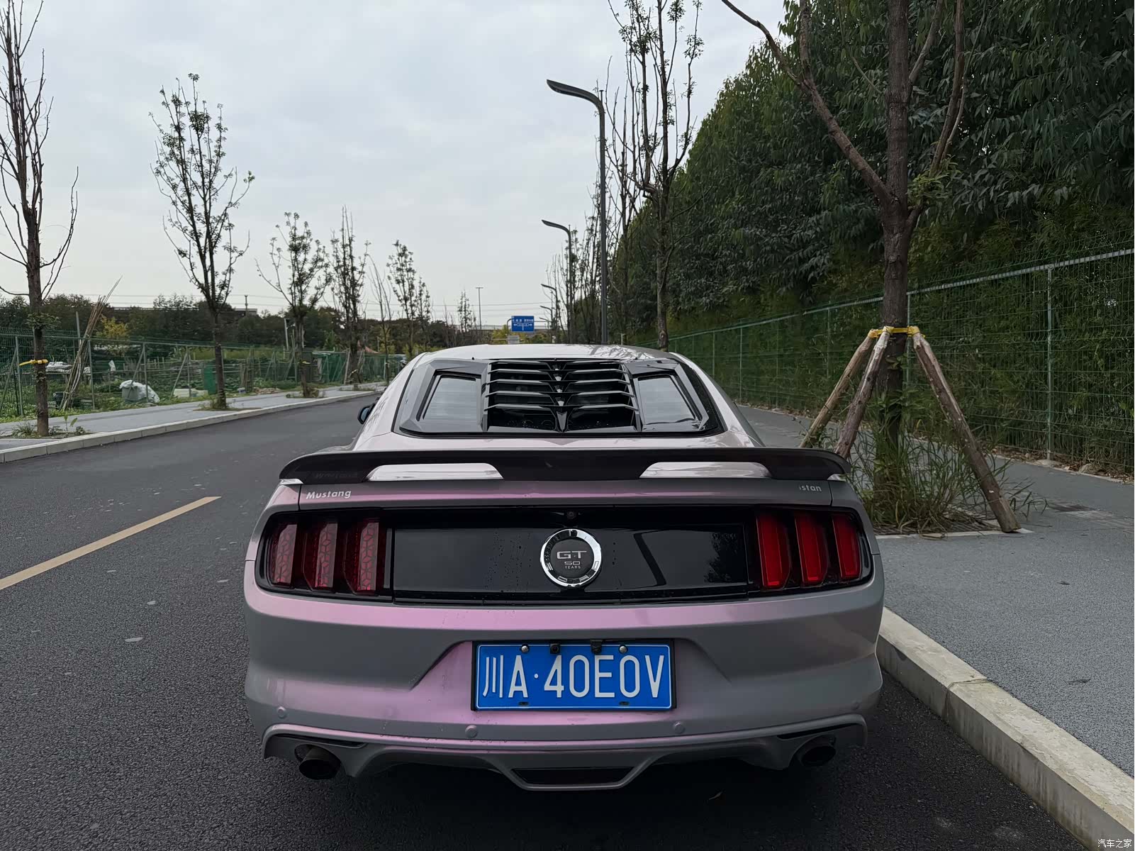 Ford Mustang, 2016 все фото