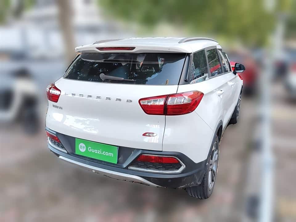 Leopaard Cheetah CS9