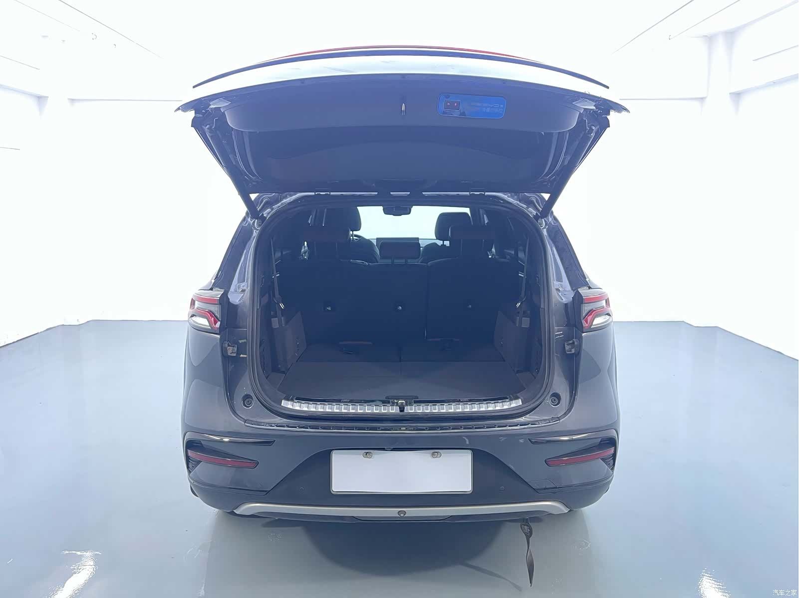 BYD Tang, 2024 12