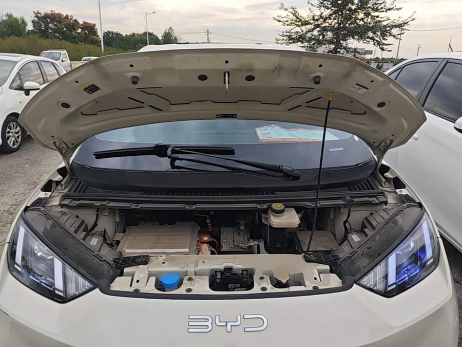 BYD Seagull 2024, фото 19