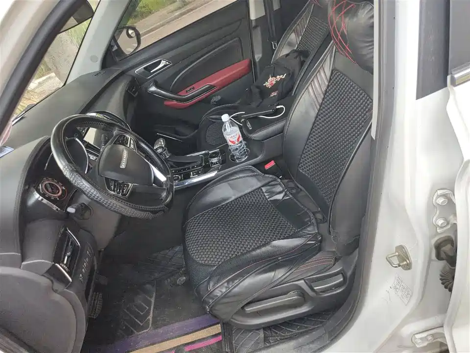 Leopaard Cheetah CS9