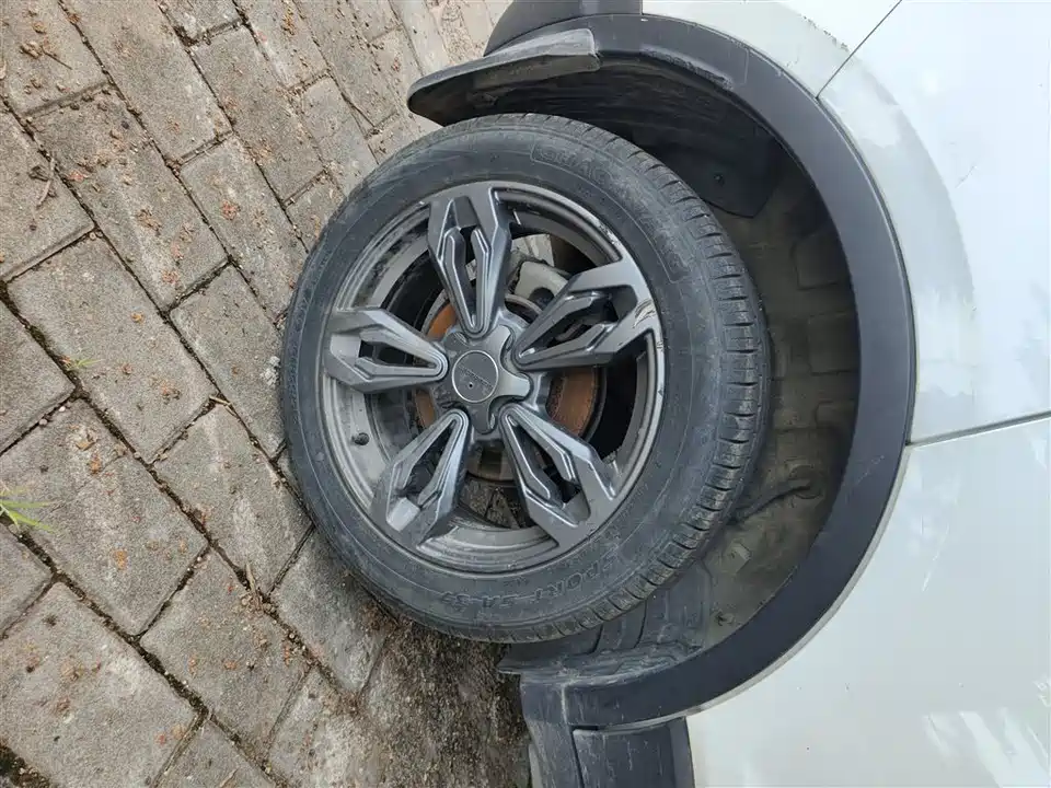 Leopaard Cheetah CS9