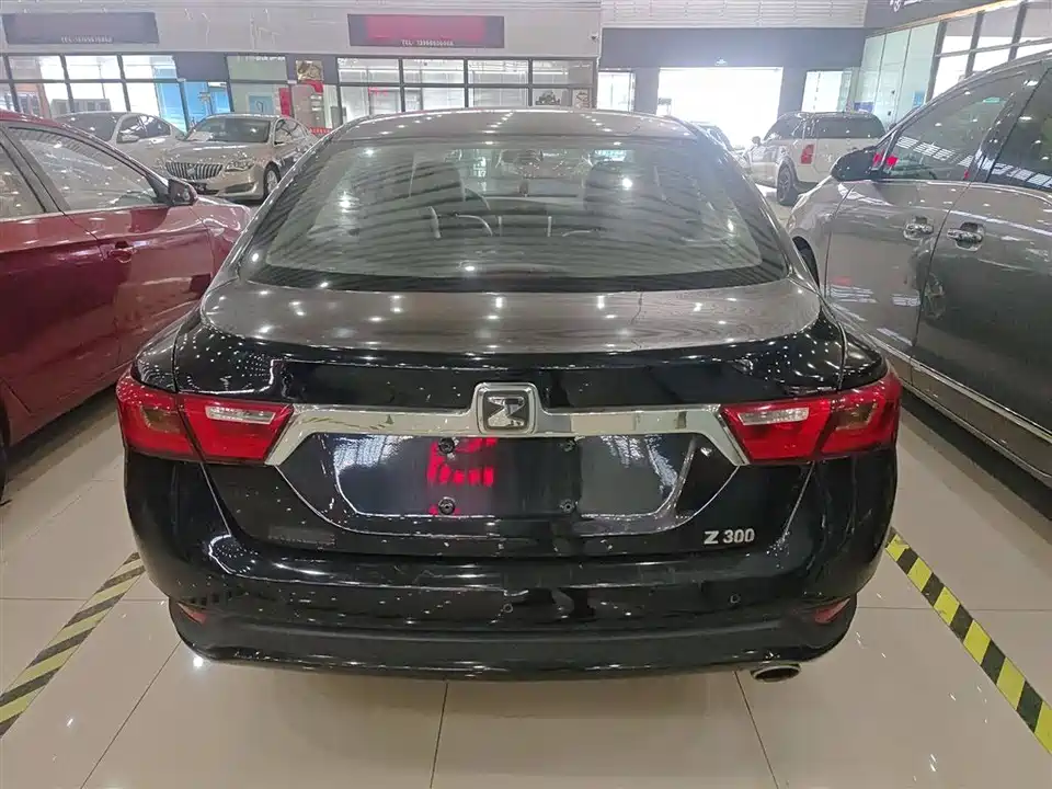 Zotye Z300
