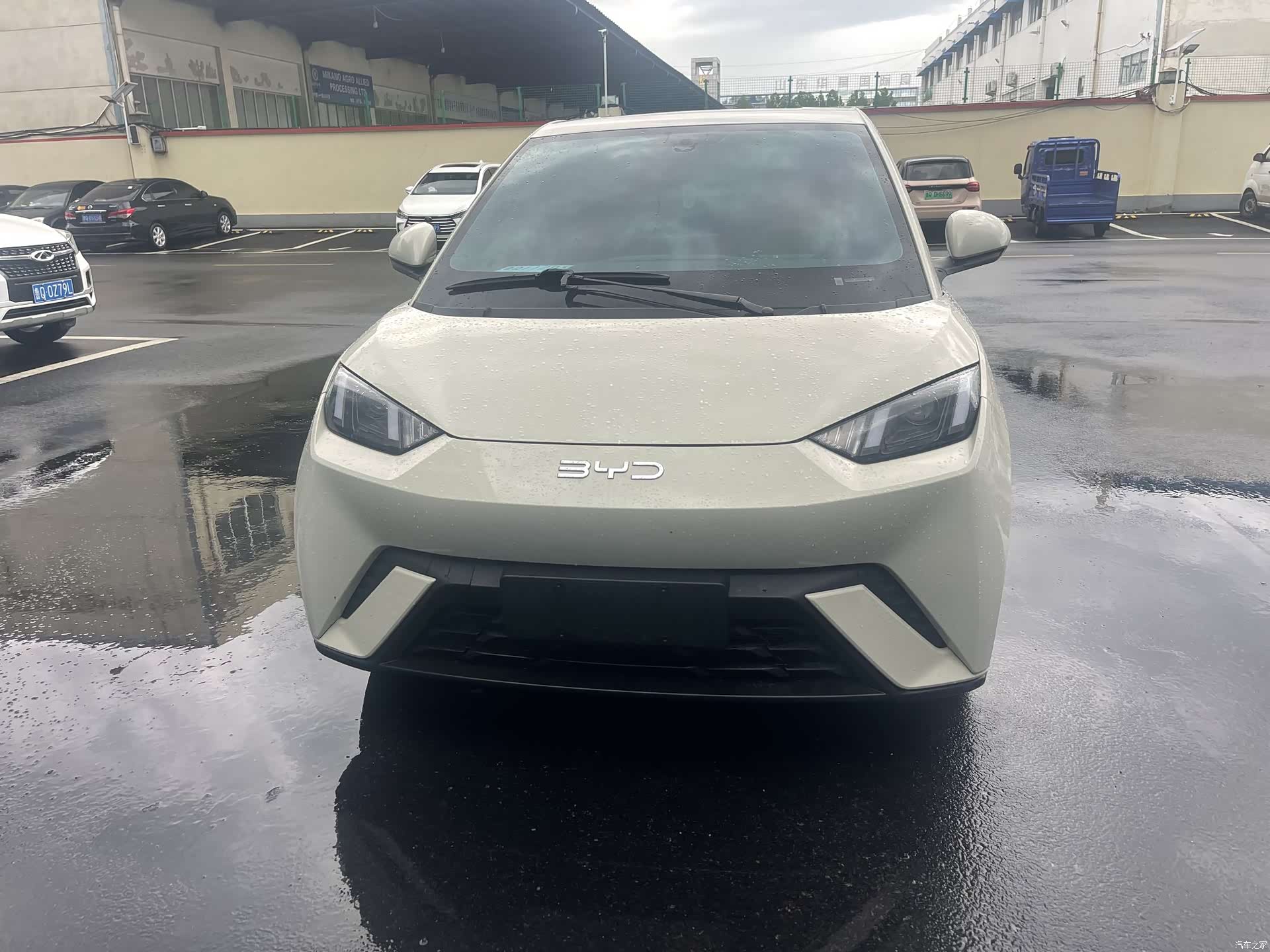 BYD Seagull, 2024 2