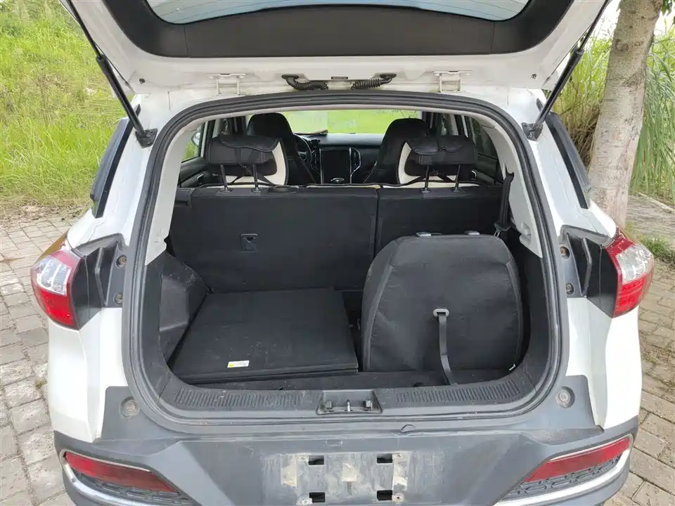 Leopaard Cheetah CS9