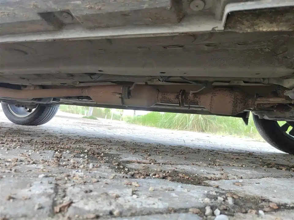 Leopaard Cheetah CS9