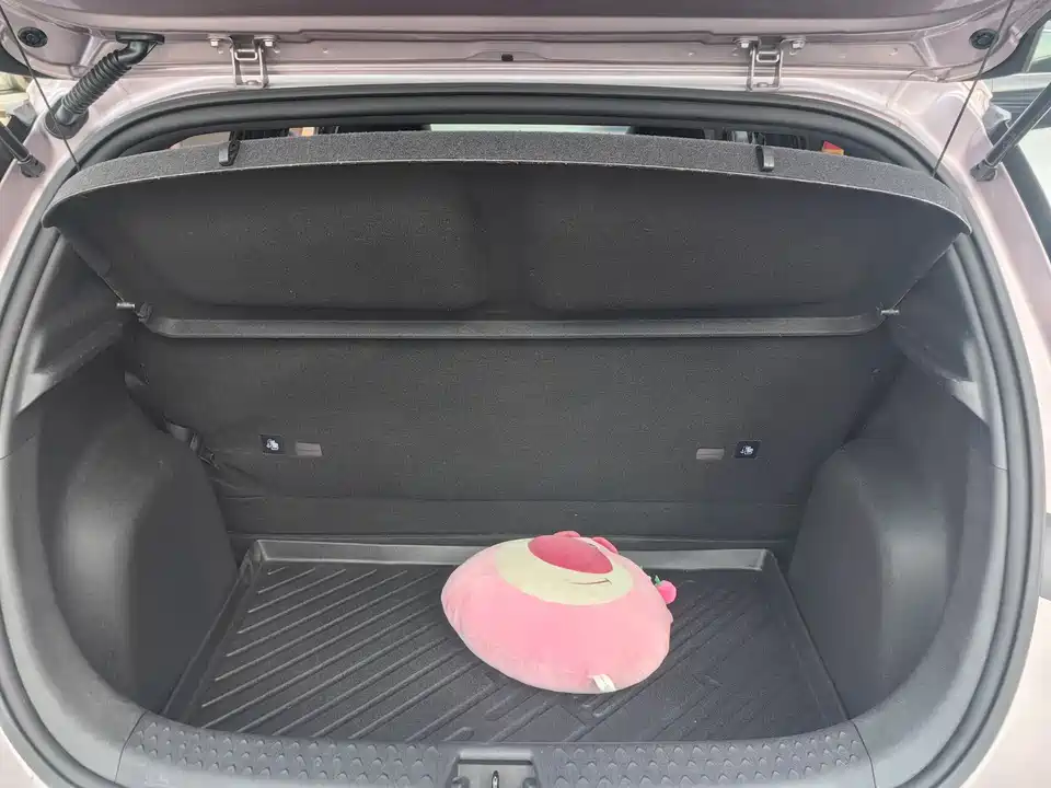BYD dolphin