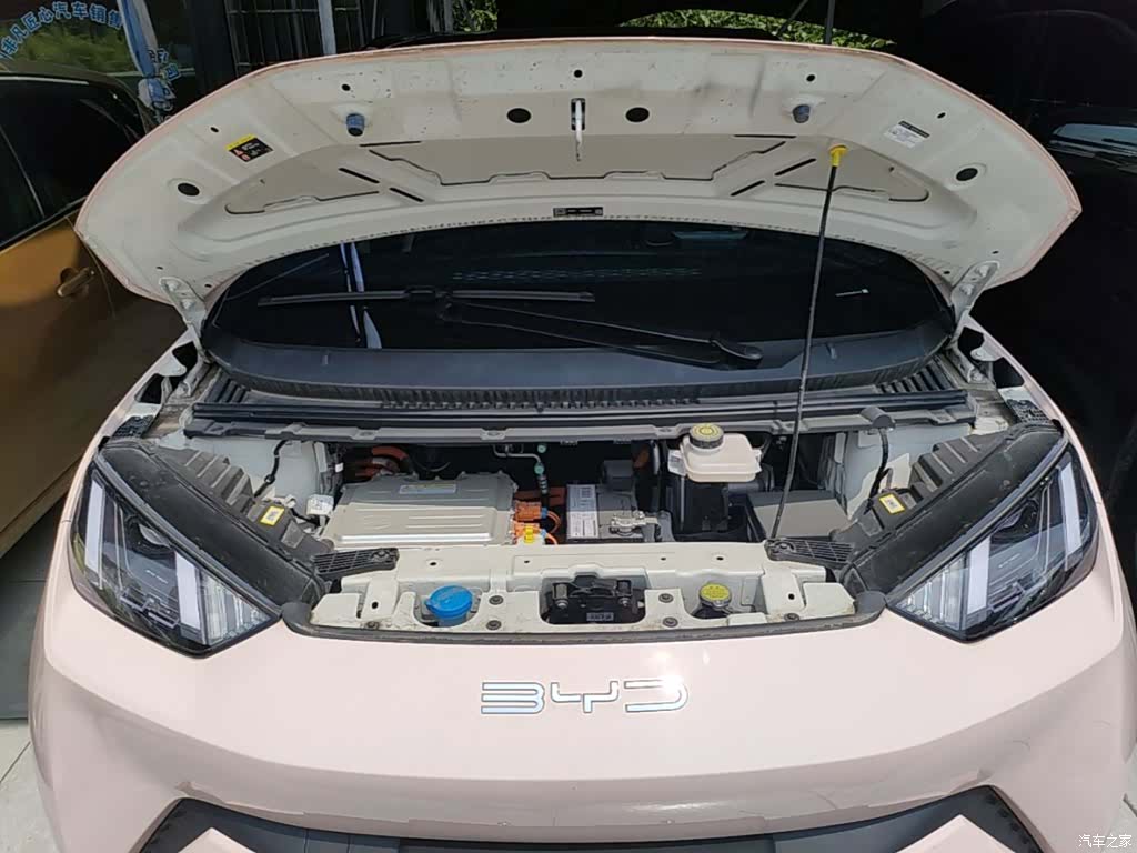 BYD Seagull, 2023 20