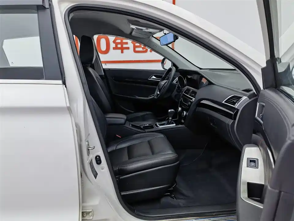 Leopaard Cheetah CS10