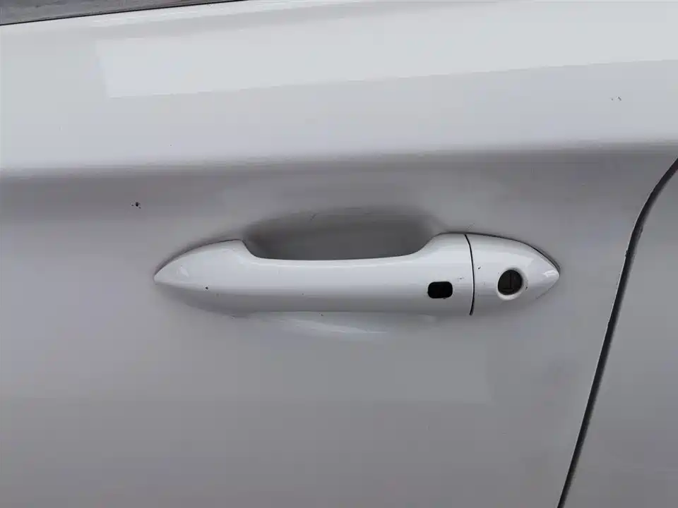 Leopaard Cheetah CS10