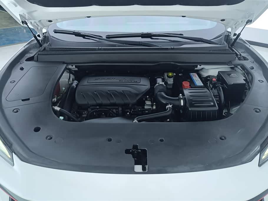 Forthing Popular T5 EVO