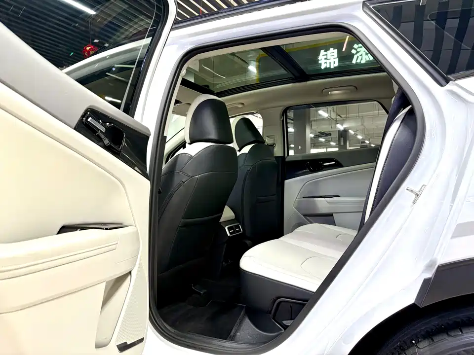 Kia Lion Platinum expands the world