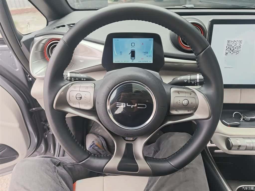 BYD Dolphin, 2022 11