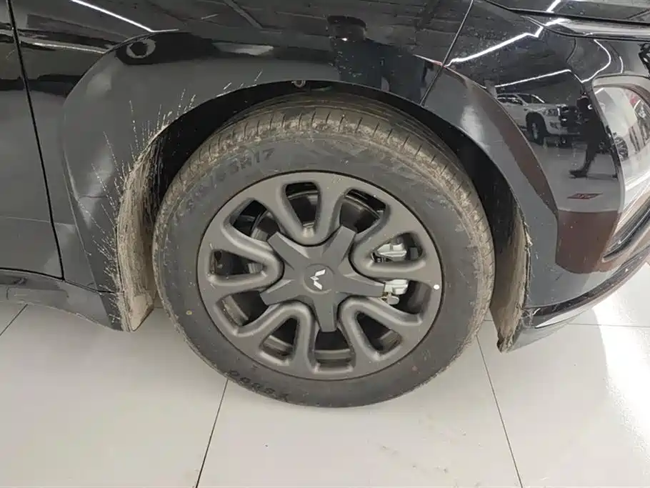 Wuling Wuling Starlight